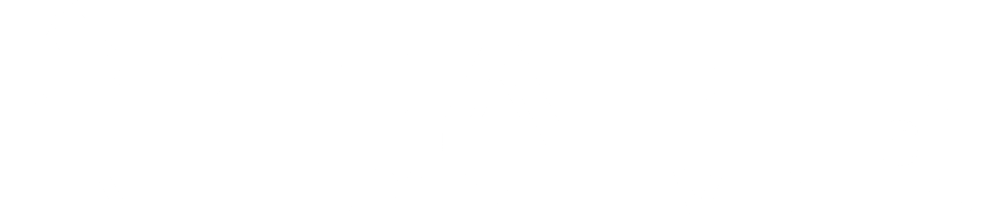 Specialized Energy Services